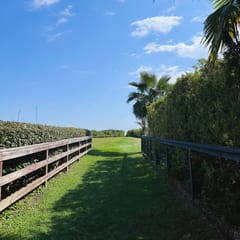 Private Pool! Walk to Beach and Pickleball IOP